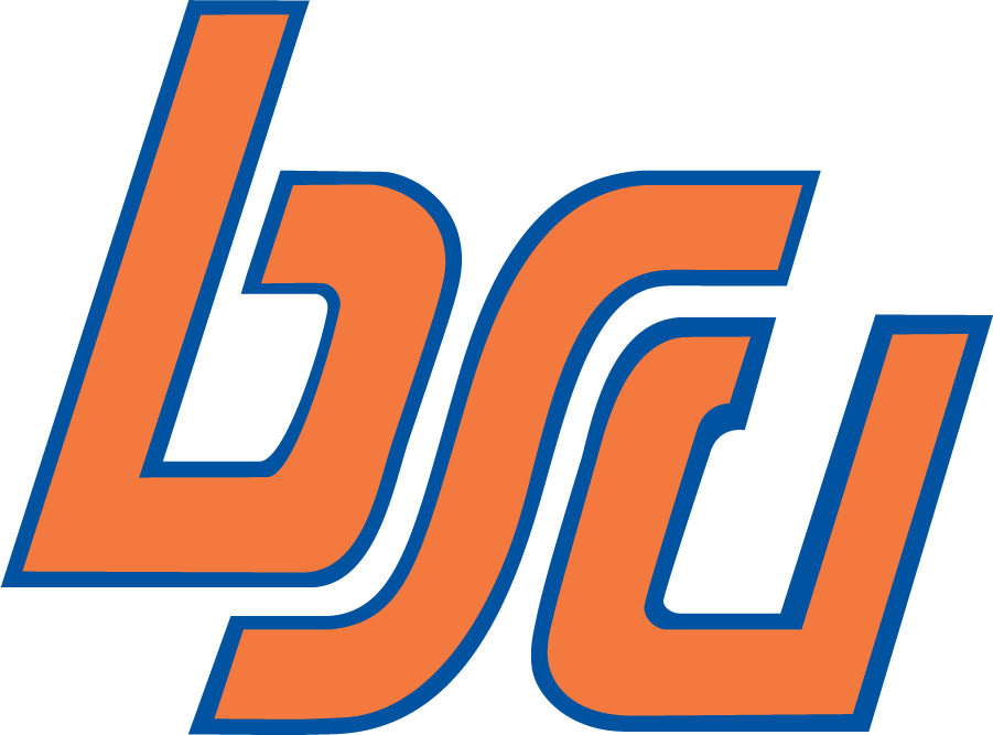 Boise State Broncos 1974-2002 Alternate Logo diy iron on heat transfer